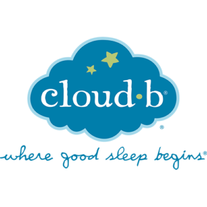 cloudb logo